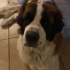 Meet your Posher, Guy